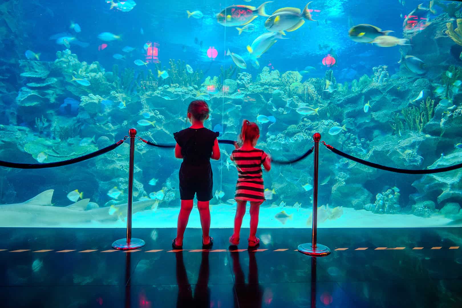 KLCC Aquarium